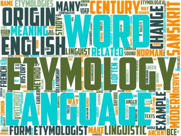 Insectology Wordart Sublimation: A Versatile Design Asset for Creative Professionals