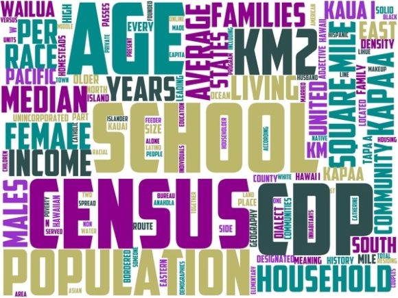 Kapaa Wordart Book Cover: A Hand-Drawn Word Cloud for Creative Expression