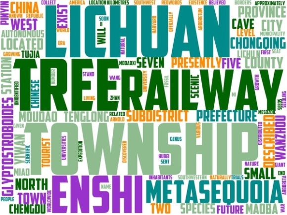 Lichuan Wordart Tshirt: Your Versatile, Hand-Drawn Word Cloud for Meaningful Creative Projects