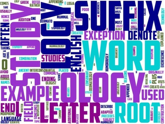 Lipsology Wordart Print: A Versatile Hand-Drawn Wordcloud for Creative Expression and Functional Design