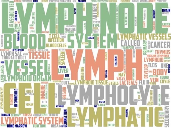 Lymphology Wordart Skinny Tumbler